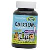 Calcium Magnesium for Children, Sugar Free, Animal Parade Calcium Children's Sugar Free, 90tab Vanilla Ice Cream (36375062)