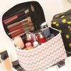 Женский милый чехол для макияжа с принтом, вместительный дорожный косметический органайзер, большая коробка для хранения, сумки