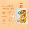 Dettol Healthy Antibacterial Hand Wash