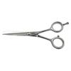 Professional Barbers Scissors 5,5 90010-55