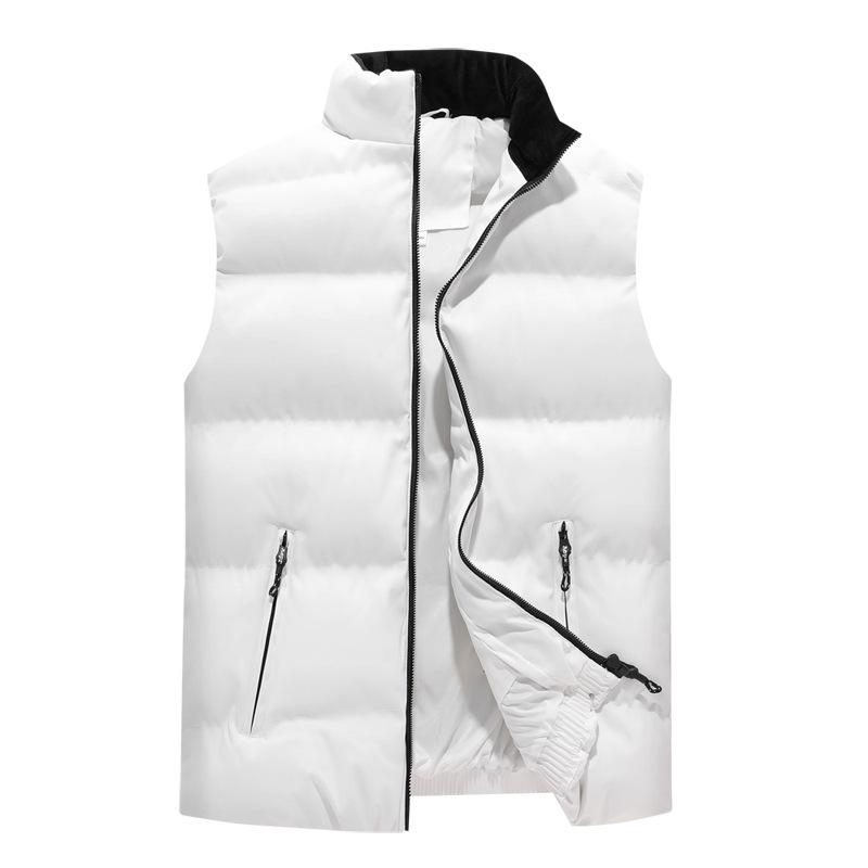Autumn and Winter Men's Hooded Slim Down Cotton Clothes Youth Original Hong Kong Style Trend Vest Cotton