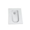 Longdai Concealed Squat Toilet