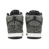 Nike SB Dunk High PRM Психоделические Кеды для Скейтбординга 313171-029