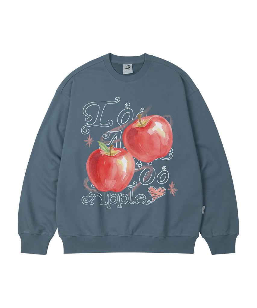 WILDROCK Свитшот оверсайз Too Apple_9 Col (Тип)