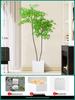 Artificial Nandina Domestica Potted Plant for Home Decoration - Green Ornamental Bonsai for Living Room or Sofa Side Decor.