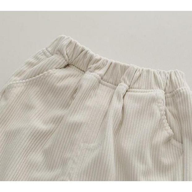 Модный двухпредметный костюм для мальчиков на весну и осень: Стильный комплект детской одежды