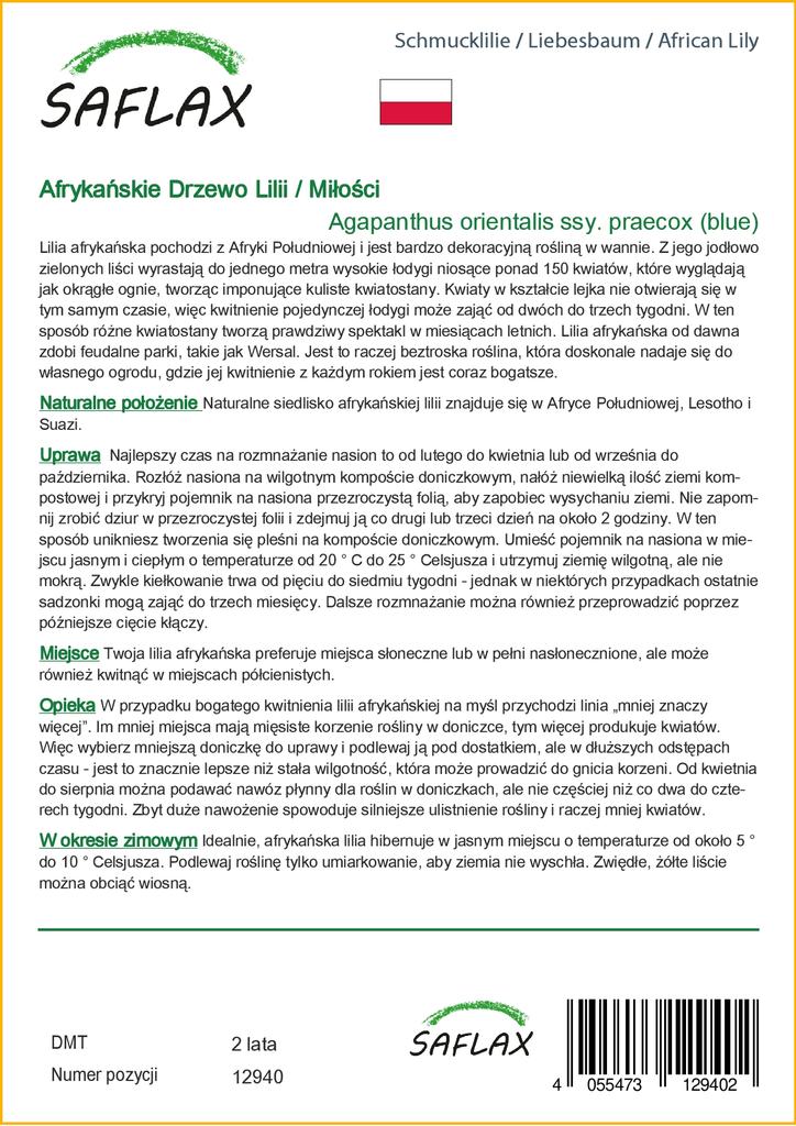 SAFLAX Лилия африканская - 50 семян - Agapanthus orientalis
