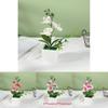 Faux Orchid Arrangement With Injection Molding For Table Centerpieces And Gifts