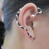 Women's Snake Shaped Ear Studs Rhinestone Inlaid Ear-hook Earrings