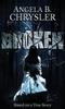 Книга Broken