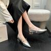Fashion Silver Mary Jane Single Shoes 2024 Spring/Summer New Pointed Low Thick Heels Women's High Grade One Belt Commuter Shoes