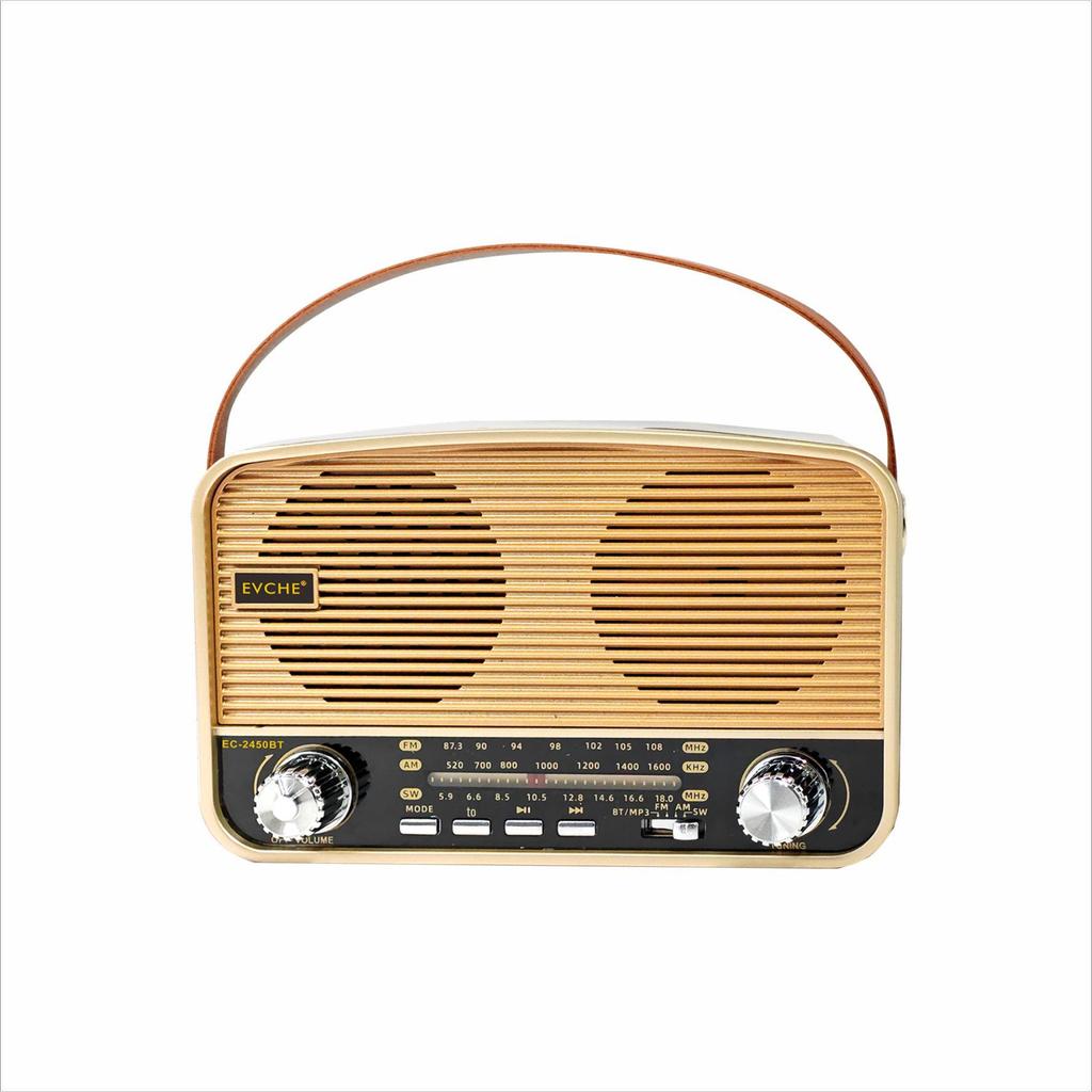 2450BT Высококачественный портативный полнодиапазонный Bluetooth-радиоприемник со слотом для карт