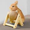 Rabbit Toys Grinding Claw Ball Sisal Hemp Wear and Bite Resistant Stable Anti Overturning Little Pet Puzzle Toy Rabbit