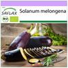 Organic - Aubergine - Long Purple - 20 Seeds - Solanum Melongena
