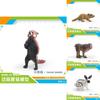 Wildlife Animal Rabbit Armadillo Macaque And Panda Model Collection Pvc Educational Figures For Kids Preschool Learning