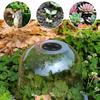 1PCS PVC Mini Insulation Cover Reusable Plastic Greenhouse Freeze Plant Protection Dome Garden Guard Frost Cover Bell P1W3