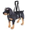 Pet Support Harness: Assistive Traction Belt for Elderly and Injured Dogs