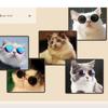 Kitten Grooming Dog Cat Glasses Dress Up Pet Eye Protection Glasses Cute Cat Sunglasses