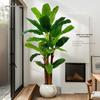 Large Indoor Banana Tree: Lifelike Green Plant for Living Room Decoration and Landscaping
