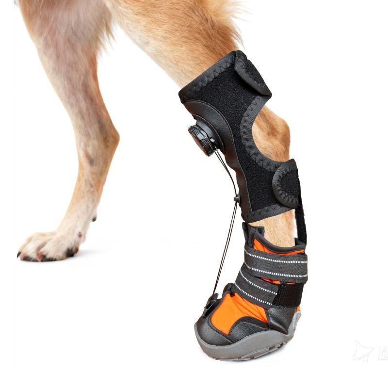 Pet Shoes, Anti-dirty, Anti-fall, Wear-resistant, Hard-soled, Dog Shoes, Foot Protection, Breathable, Non-slip, Pet Dog Shoes Joint Protection