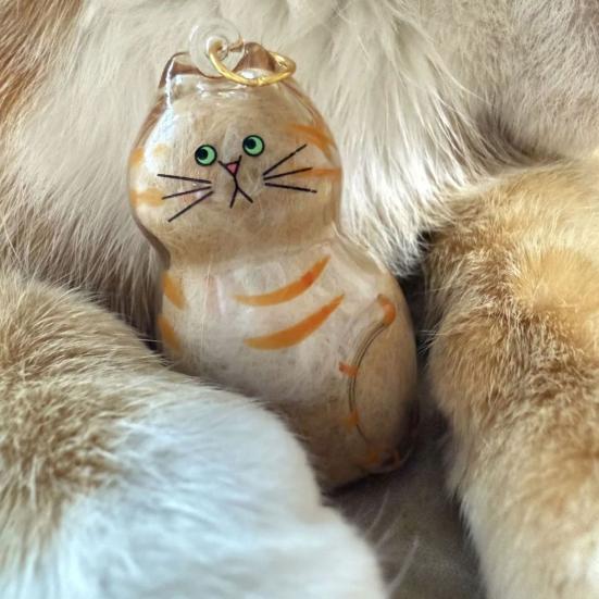 Бутылка для хранения кошачьей шерсти Прозрачный брелок для хранения шерсти питомца для коллекционирования