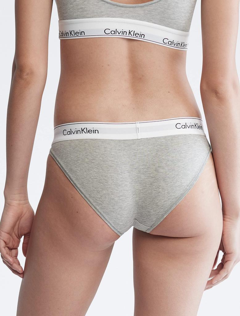 Calvin Klein Modern Cotton Bikini Snow Large Women's Panties, Heather/Neon Neps,