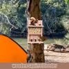 Кормушка для белок Водонепроницаемая кормушка для бурундуков Износостойкая Прочная Забавная Новинка Съемная Крепящаяся Для задних дворов Садов