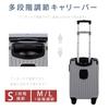 S Carry Carry Hidden Hook 360 Degree Equipped with TSA Zipper School Overseas Domestic Business Sc504 S [Sign Kingdom] Suitcase, Carry-on, Size, 38L,