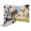 Herma Dogs Ring Binder A4 (2D)