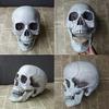 Halloween  Artificial Skull Head Model Skull Bone Scary Horror Skeleton Ornament