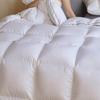 Warm White Duck Down Quilt