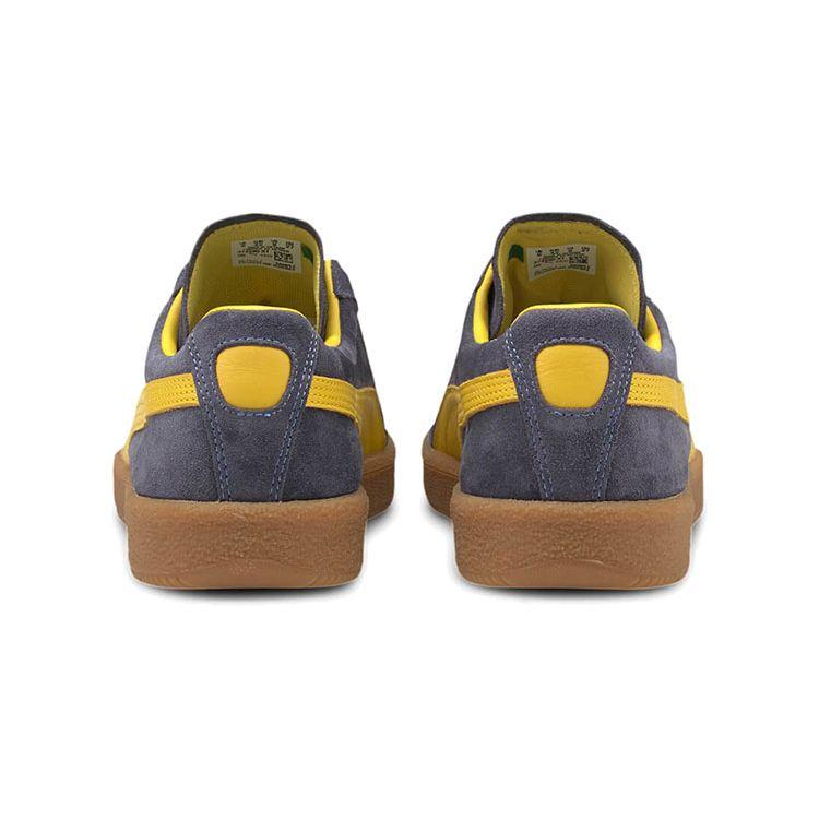 Puma Delphin Шнуровка Ретро Повседневные Низкие Кроссовки Унисекс Кроссовки Синий Белый Коричневый 374980-01