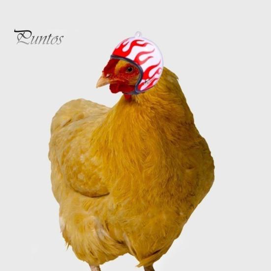 Куриный шлем для домашних животных, забавный попугай, шляпа с птицей, головные уборы, маленькие жесткие костюмы, аксессуары для кур, птиц, попугай