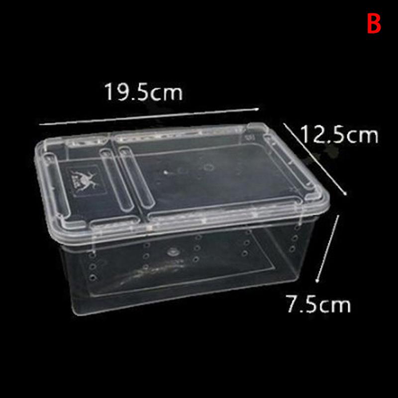 Reptile Box Mantis Jumping Spider Silkworm Rearing Box Reptile Rearing Box