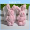 Adorable Mini Cute Plush Toy Tiny Rabbit Bear Doll With Soft And Cozy Feel