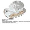 Aromatherapy Storage Tray 3D Printed Shell Wave Jewelry Tray, Pearlized White Organizer Dish, Elegant Ring Exquisite Desktop Ornament Trinket