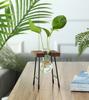 Creative Wooden Frame Hydroponic Plant Container Glass Bulb Vase Home Tabletop Decor Vases Beaker Glass Planter Bonsai