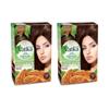 Henna Hair Color - Natural Brown Pack of 2 - Vatika Naturals - Brun Naturel 4 Color