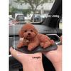 New Car Decorative Pet Accessories Silicone Teddy Dog with Anti Slip Pad Simulation Gadget Center Console Automobile Decoration
