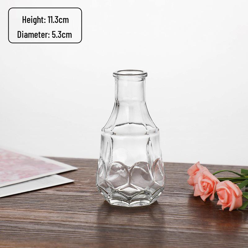 Small French Retro Glass Hydroponic Vase for Home Decor