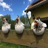 1 шт. Пасторальное украшение-курица Дизайн украшения Забор Двор Креативное украшение Сад Сказочная жизнь Большеглазая курица
