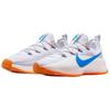 Nike LeBron TR 1 Чистый платиновый Фото-синий Оранжевый FJ6151-005