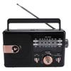 AM FM SW Portable Full Band Radio BT Speaker Storage Memory Card Multifunctional Music Player Gold