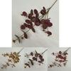 Artificial Eucalyptus Money Leaf Stems For Indoor Outdoor Decoration Photography