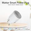 NEO Matter NAS-WR10WM 16A WiFi Smart Plug with Power Meter Smart Control for Apple / Google / Amazon