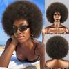 Afro Women Fluffy Kinky Curly Natural Brown Color Wig Synthetic Fiber Cosplay Daily Wear Curly Puff African Wig
