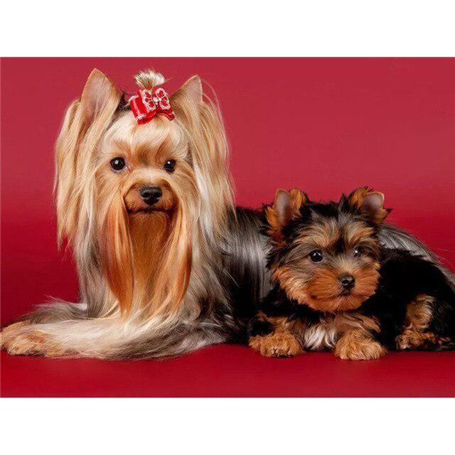 DIY 5D Алмазная картина Собака Вышивка крестиком Алмазная вышивка Продажа Животное Мозаика Стразы Фотографии