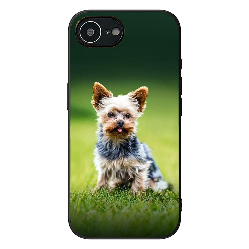 Bichon Frise Pomeranian Dog Phone Case for Samsung Galaxy Note 20 9 10 S8 S10 Lite S9 Plus A54 A53 A21S S10E A17 Cover Casing