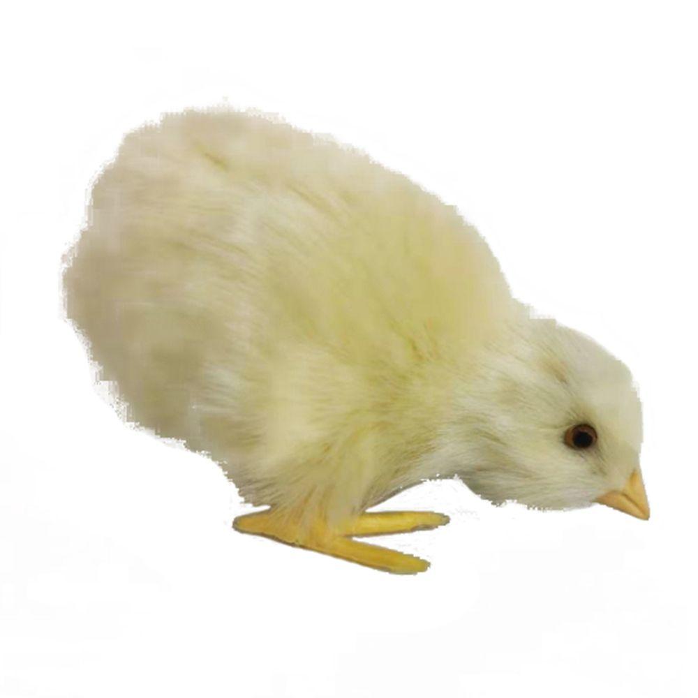 Prop Scene Model Lovely Doll Lifelike Bird Easter Plush Chick Simulation Furry Chicken Kids Toy