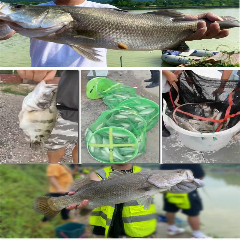 FTK Набор удочек и катушек, набор мужских телескопических удочек, складной портативный стартер для рыболовных снастей, компактные дорожные удочки